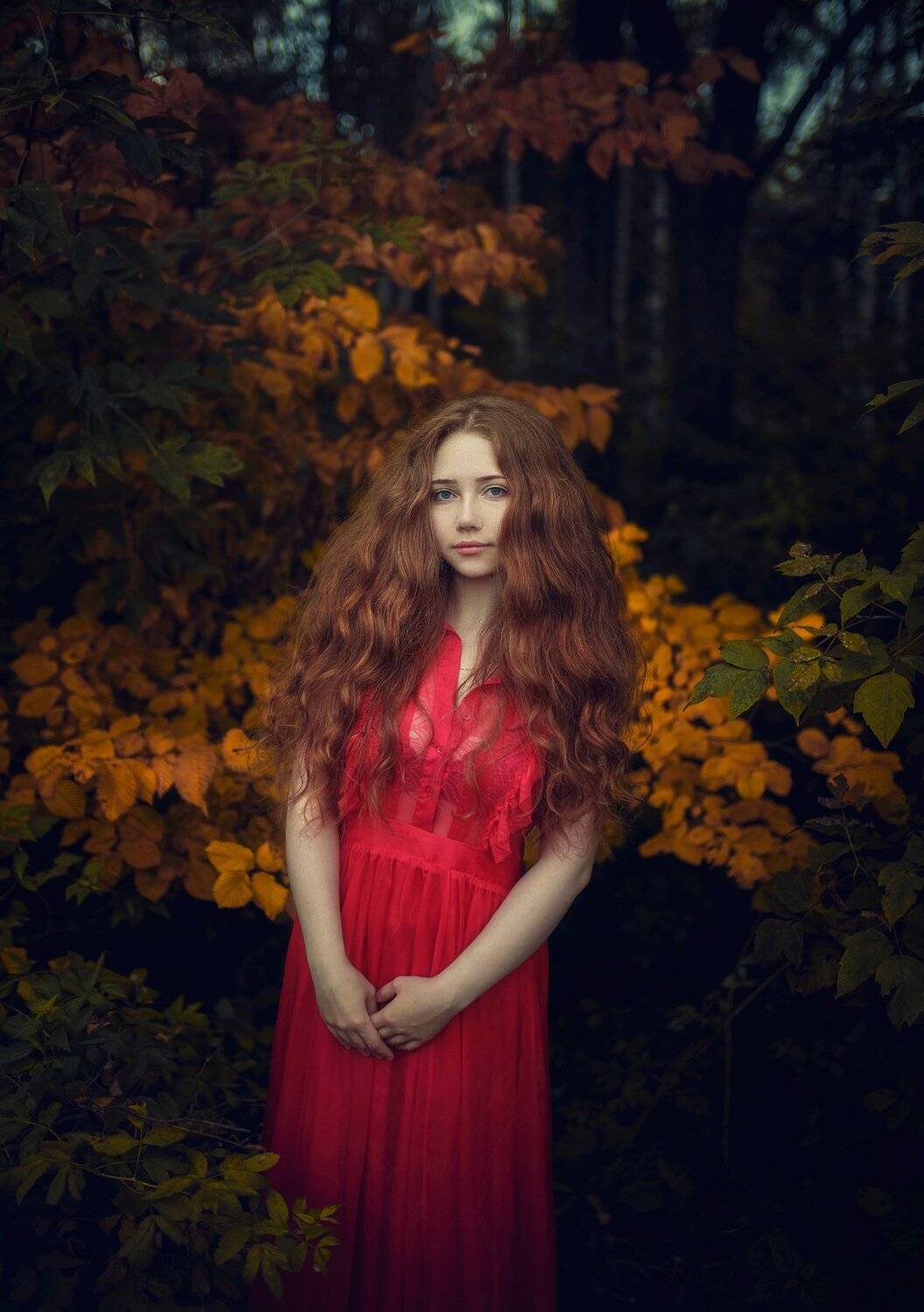 #portrait #beautiful #model #russia #moscow # #canon #sigma #natural #light #портретарт #модель #portrait #art, Hakan Erenler