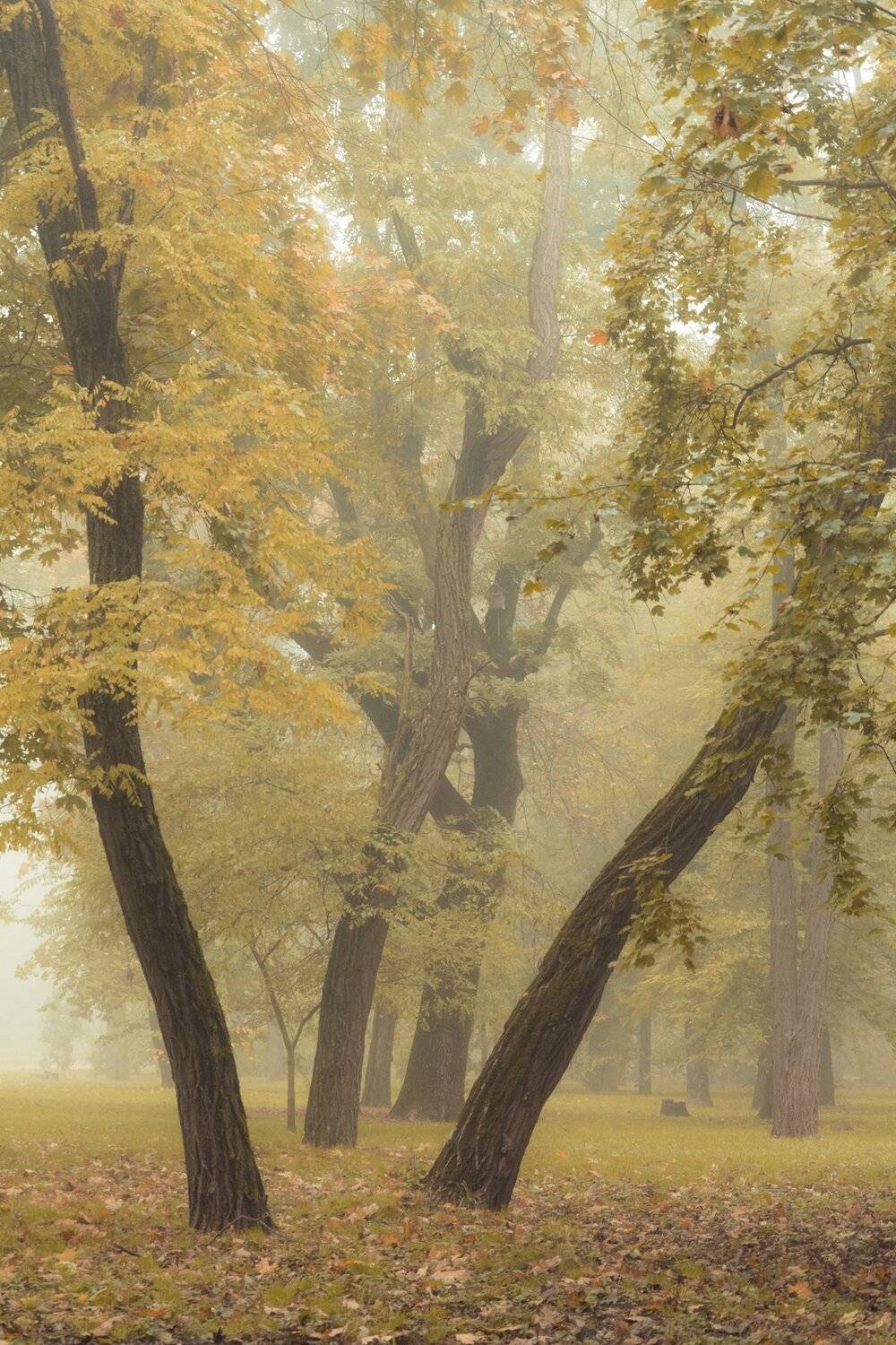 , Юрий Пужалин