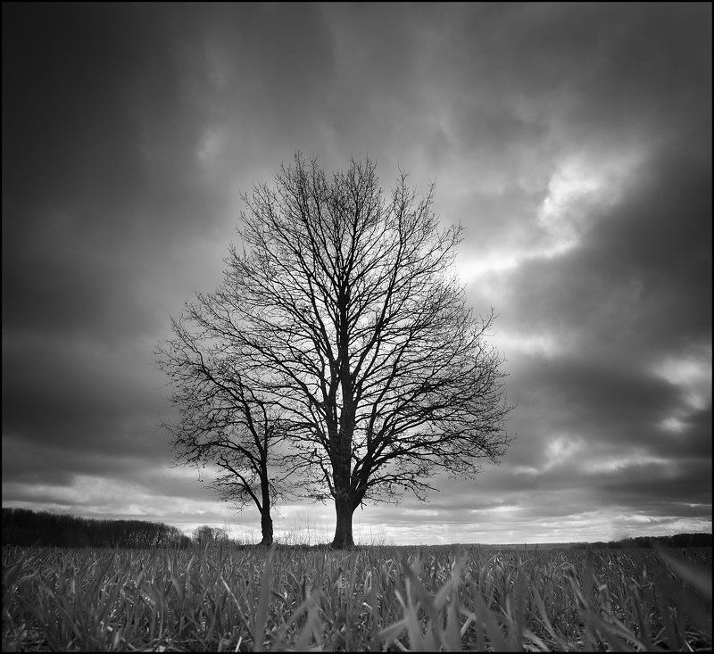 * фото превью