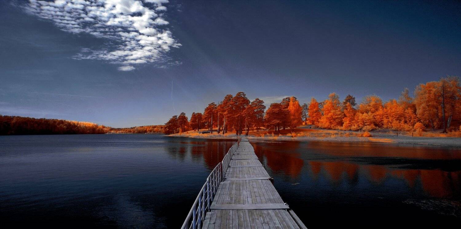 infrared,ик-фото,инфракрасное фото,инфракрасная фотография,пейзаж,природа,беларусь,весна, Sixten ( Сергей )