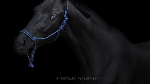 out of darkness