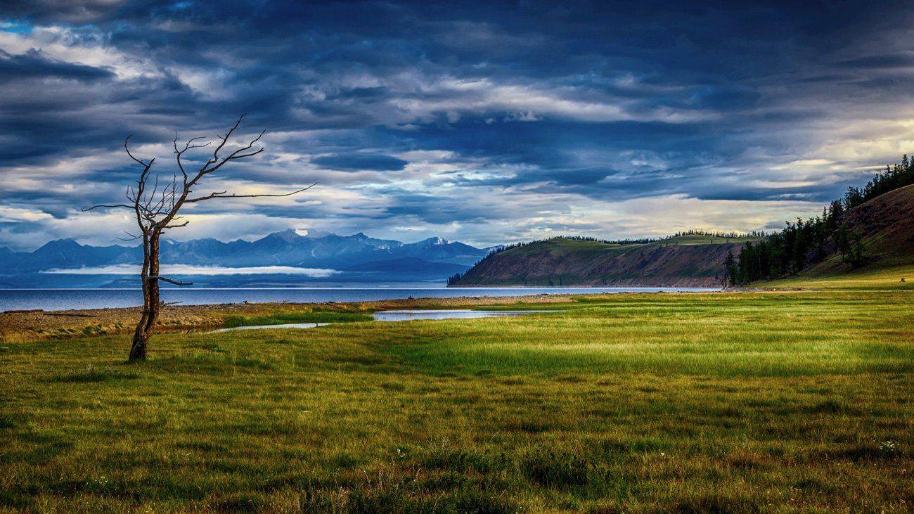 , Сергей Низовцев