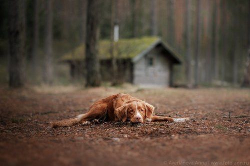 Отдых в лесу