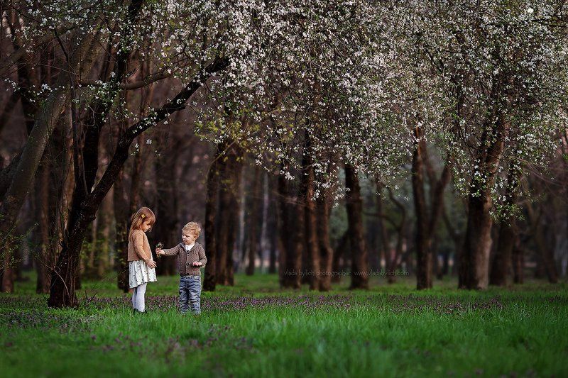 детский фотограф, фотограф Влада Былич, Влада Былич, фотограф в Краснодаре, фотограф в  Ростове, дети, весна, подарок, цветы  фото превью