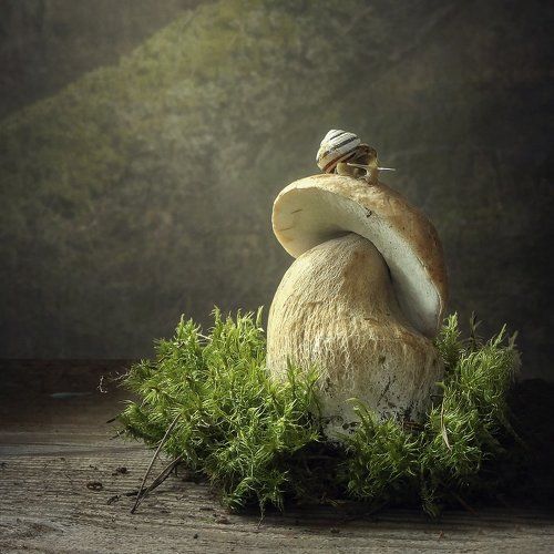 Летний домик