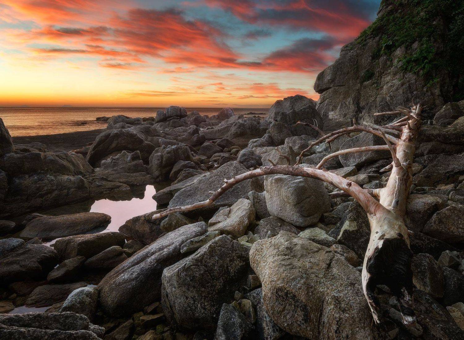 приморский край, заповедник, рассвет, море, солнце, Сорокин Алексей