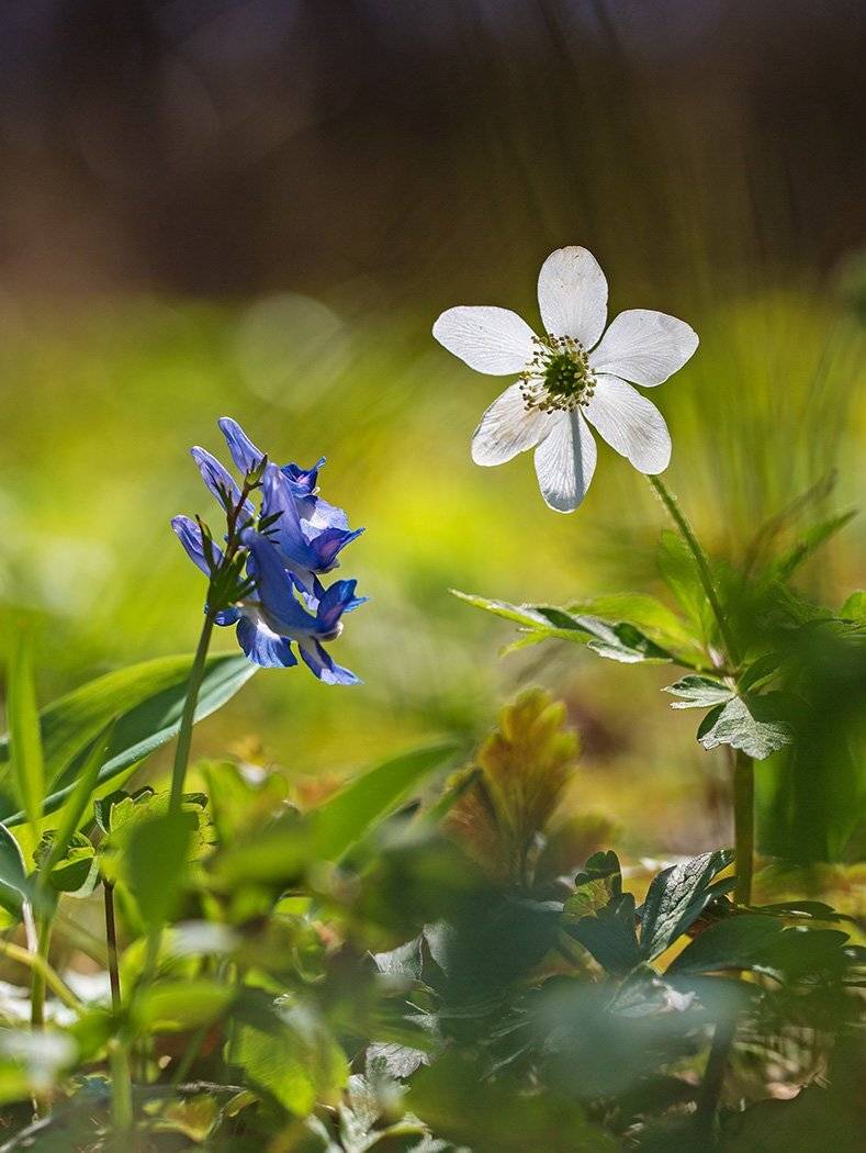 , Евгений Слободской