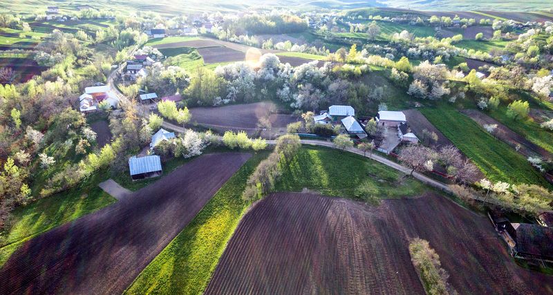 *** фото превью