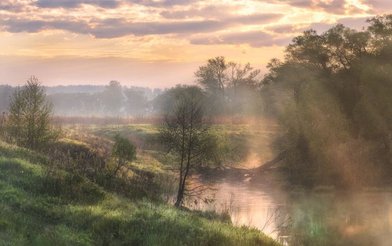 тула, тулица, Сергей Кочергин