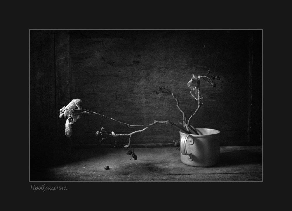 , Александр Хромеев