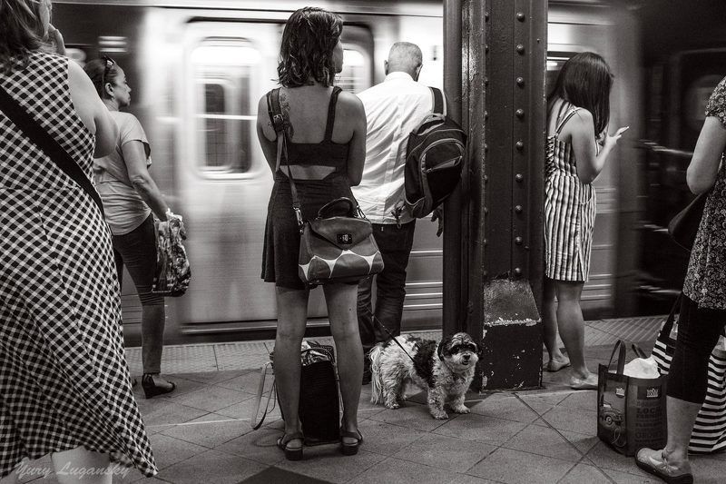 Subway фото превью