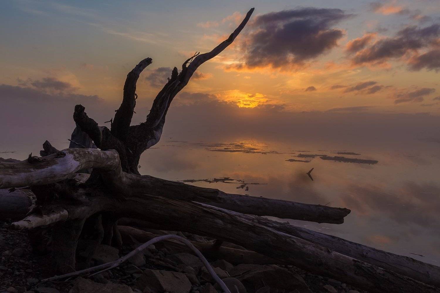 путорана, курейка, светлогорск, курейское водохранилище, красноярский край, коряга, север, туман, Кирилл Уютнов