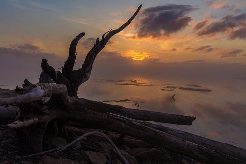 Монстры весны