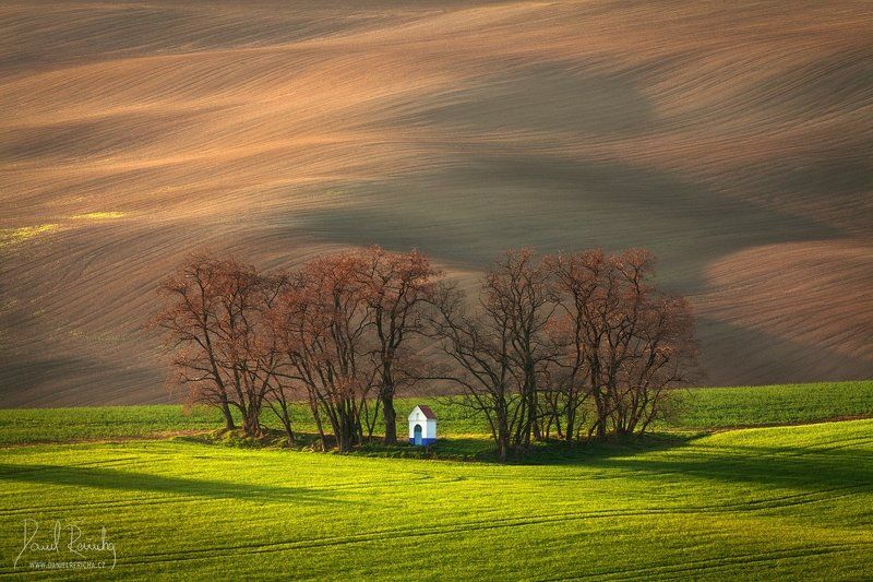 Czech Republic, Bohemia, Czech, South moravia, Moravia, moravian tuscany, Tschechische Republik, Südmähren, Mähren, Europe, tree, chapel, grove, green, brown, field, evening field, spring field, morning, morning light, countryside, mood, lines, hills, rur Moravian chapel фото превью