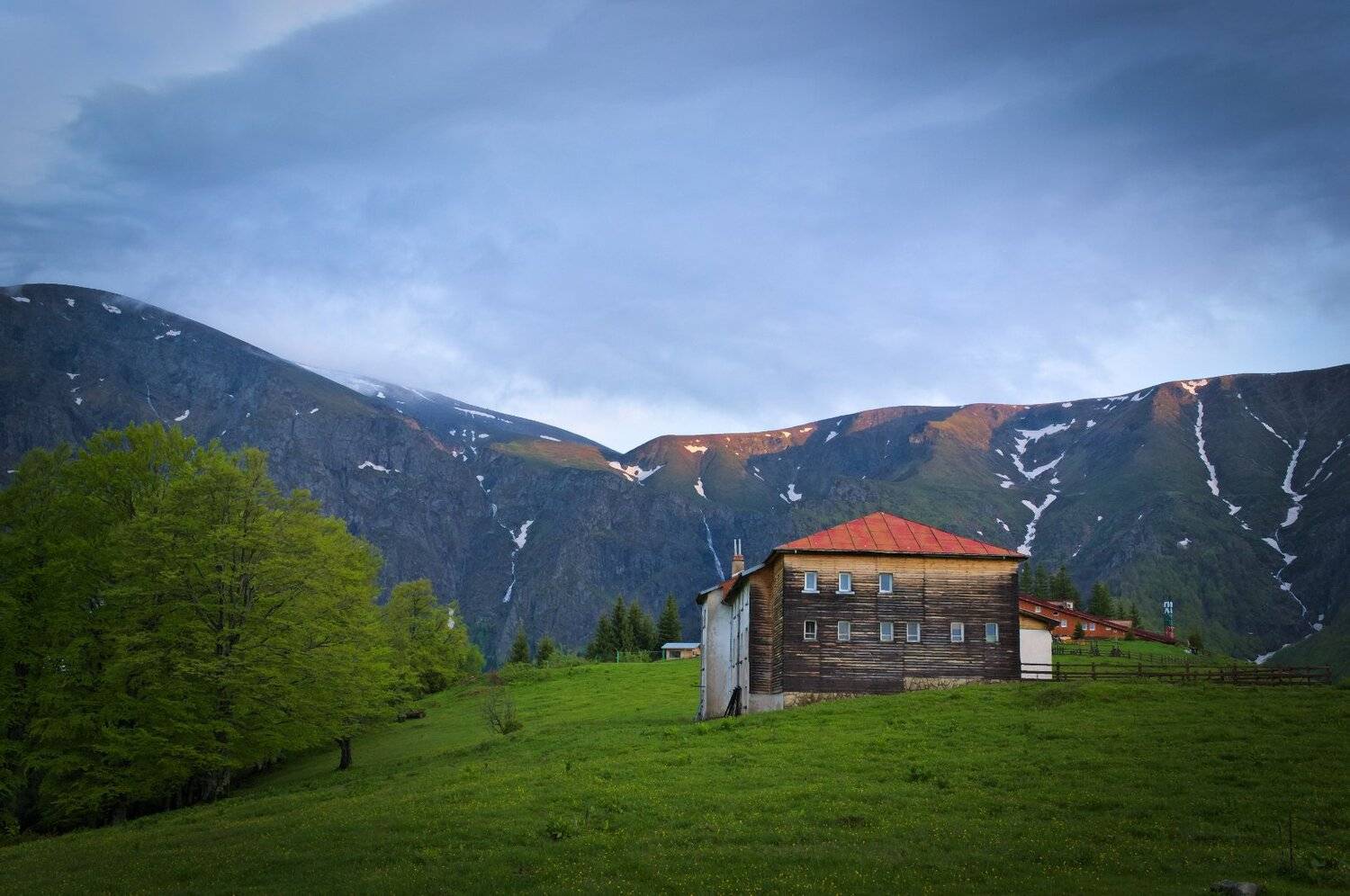 , Мартин Костадинов