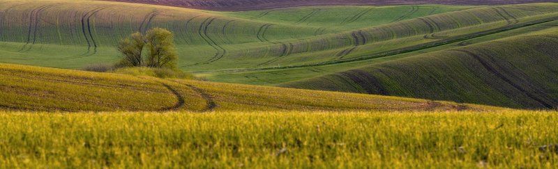 Весенние линии фото превью