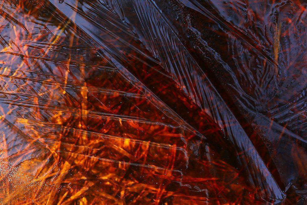 , Иваненко Светлана