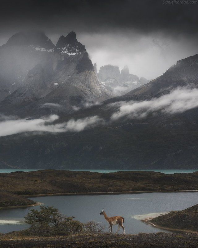 Wild Patagonia
