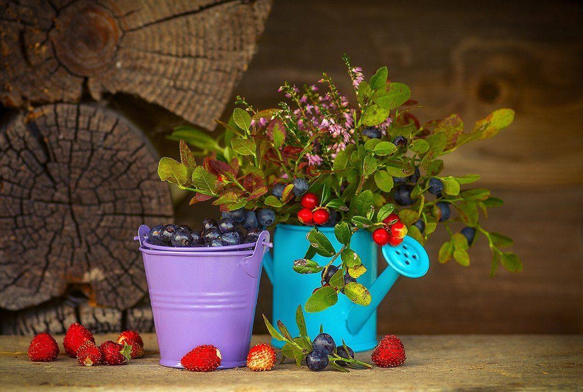земляника черника лето ягоды, Марина Мурашова