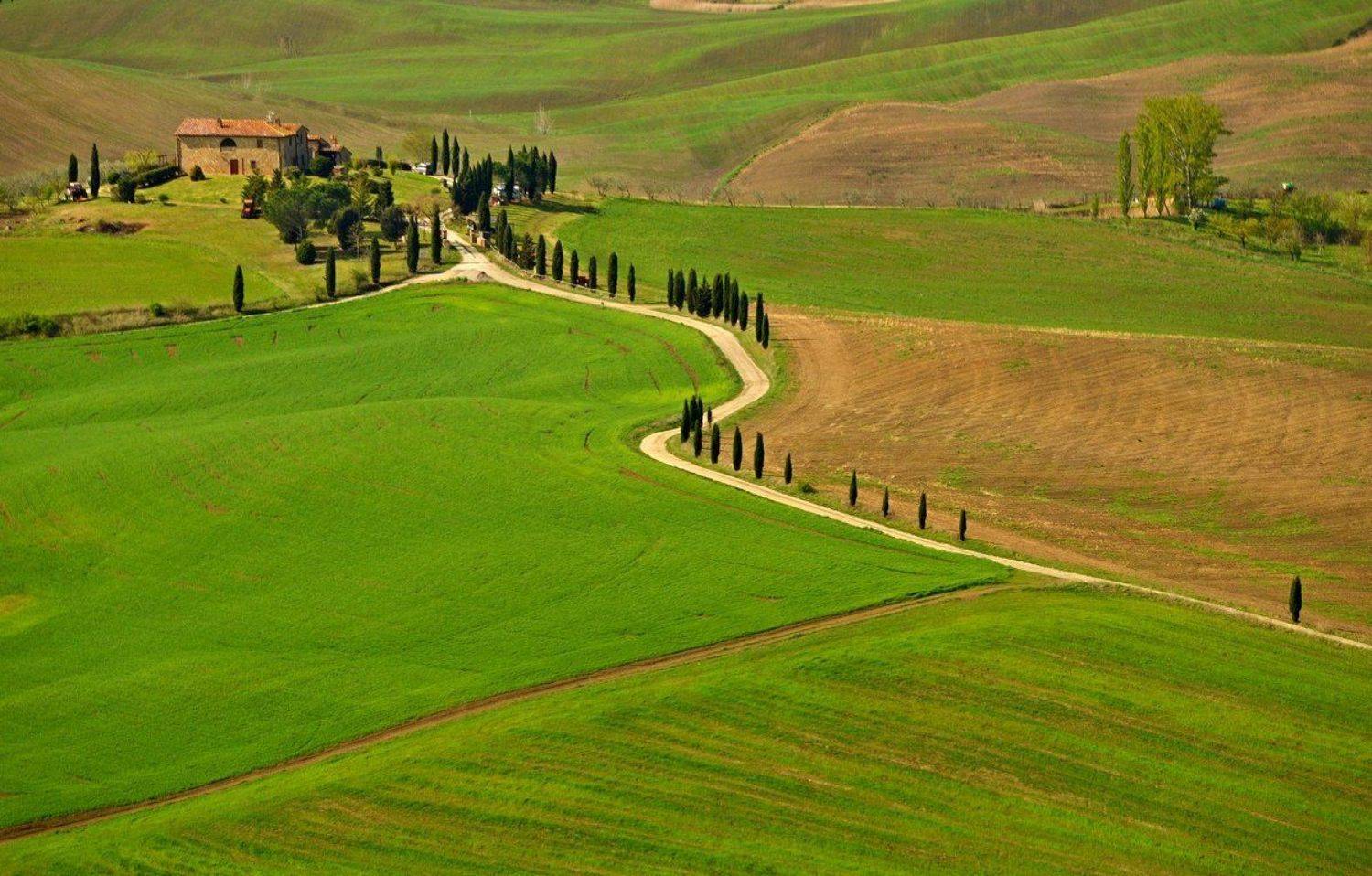 Тоскана, Италия, Олег Потехин
