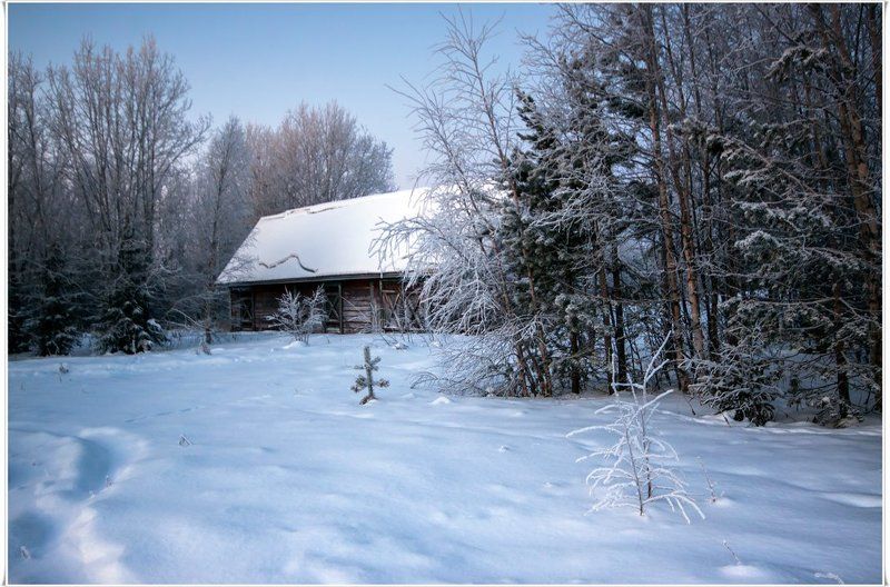 Старый сарай фото превью