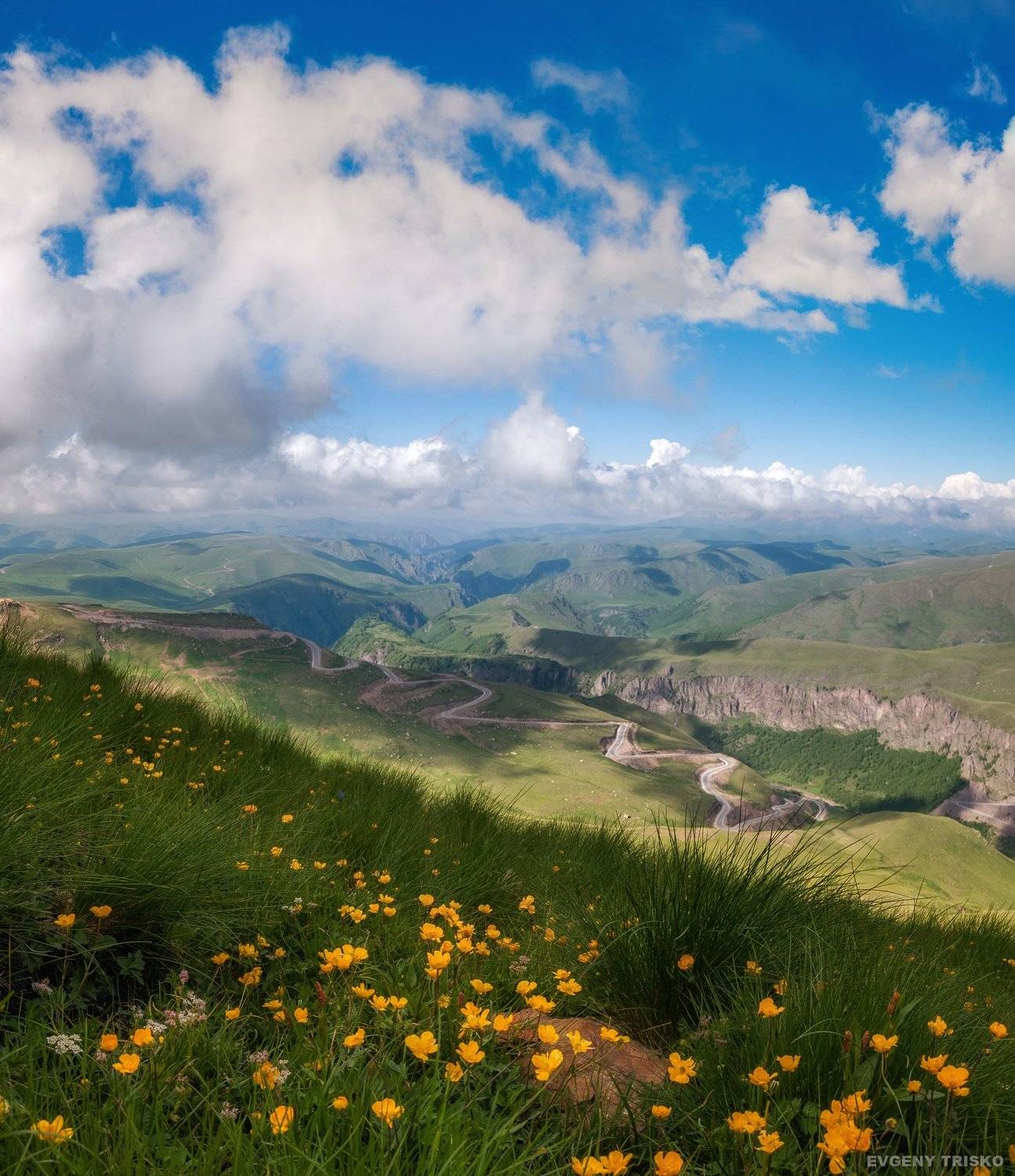 горы, кавказ, малка, Джилы-су, лютики, цветы, дорога, облака, Евгений Триско