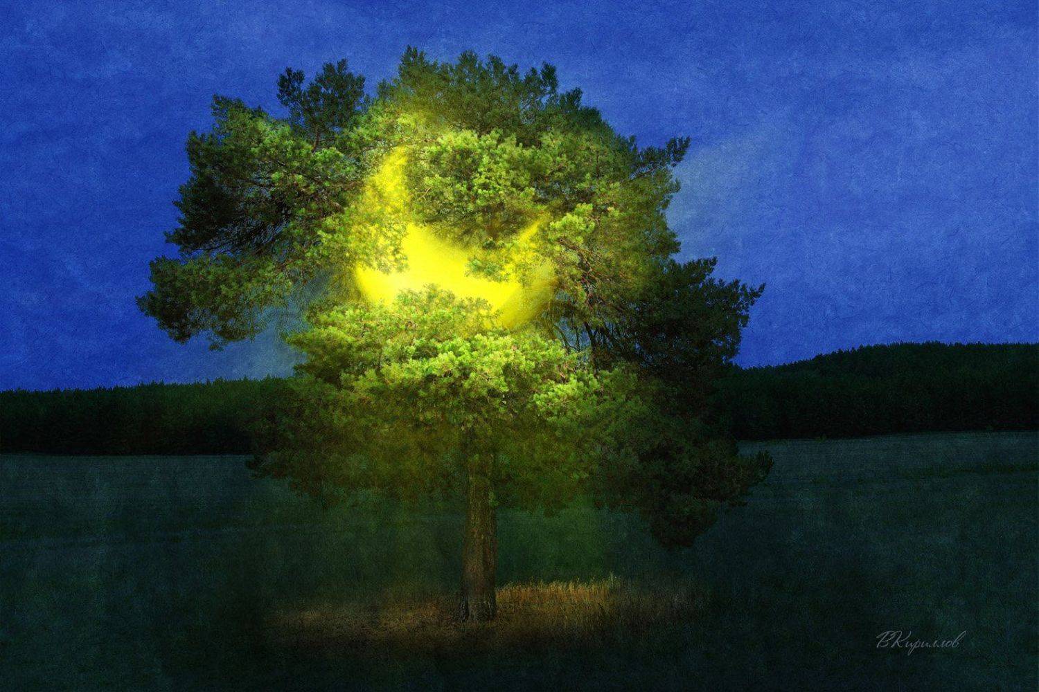 , Виктор Кириллов