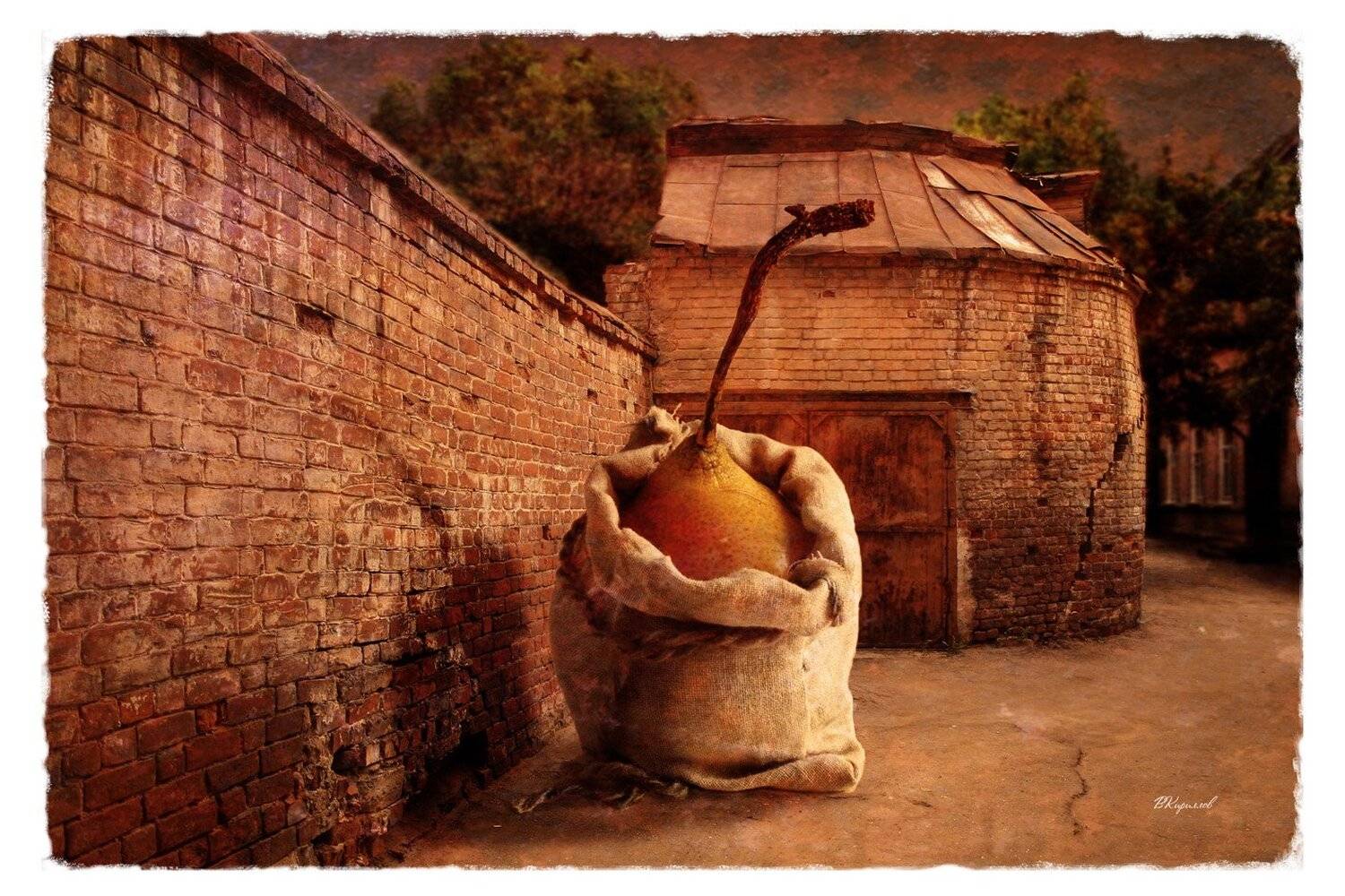 , Виктор Кириллов