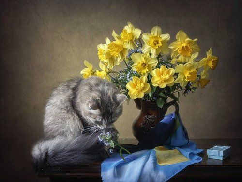 Цветомания