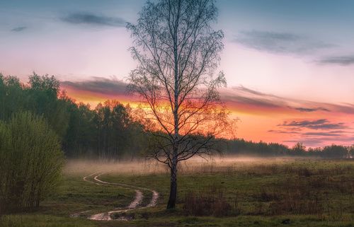 / По дороге к рассвету... /