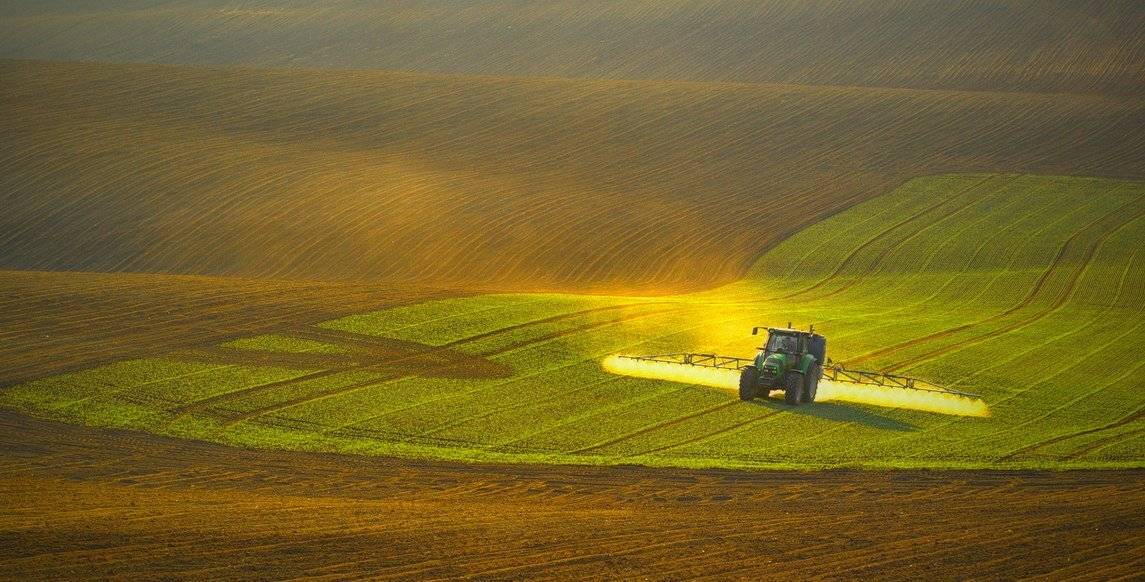 moravia, Franti&scaron;ek Uhler