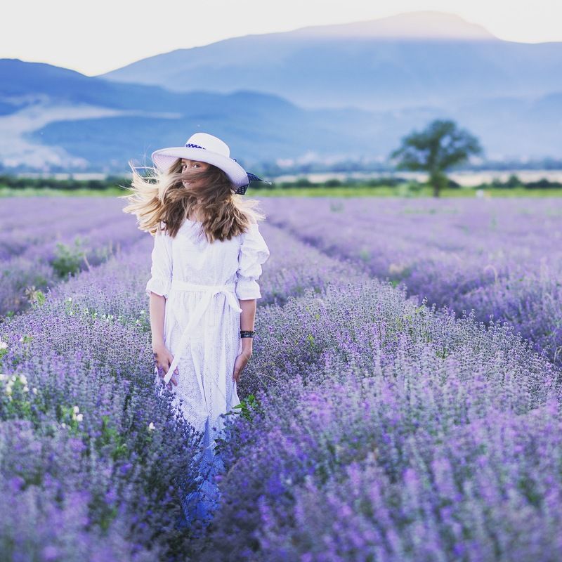 Лавандовые воспоминания о прошлом лете. фото превью