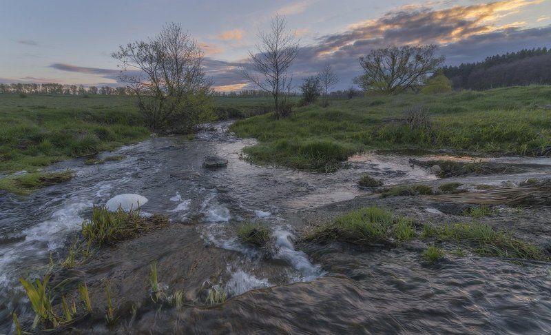 Весенняя динамика.... фото превью