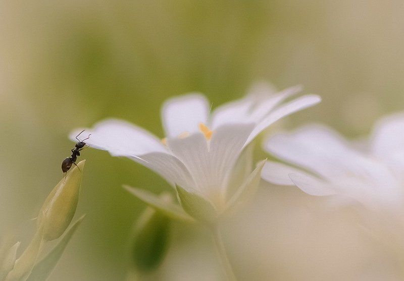 В этом огромном мире фото превью