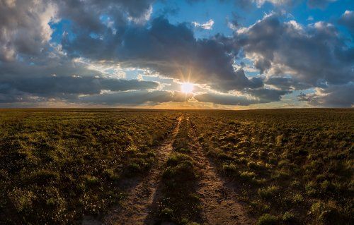 Весенняя астраханская степь в районе нижнего Поволжья.