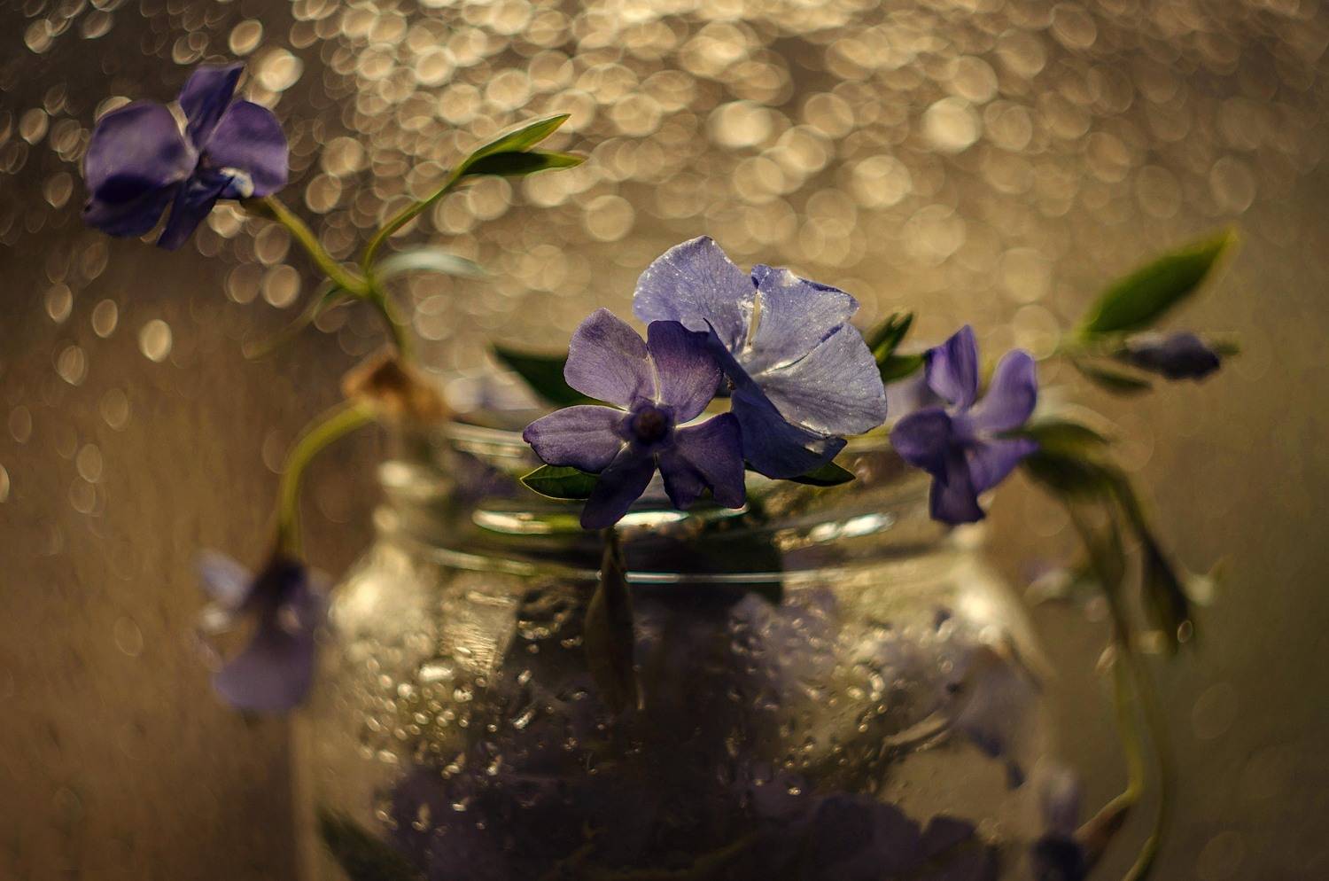 , Лилия Немыкина