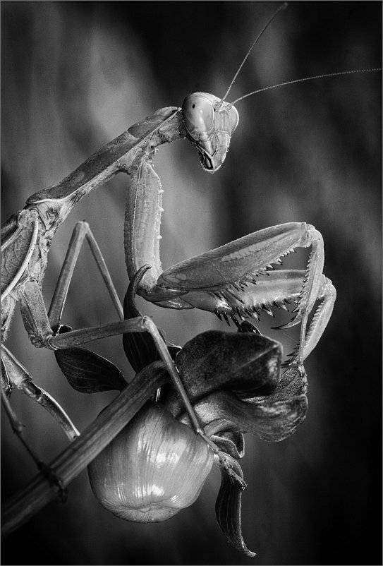 , Сергей Фудиненко