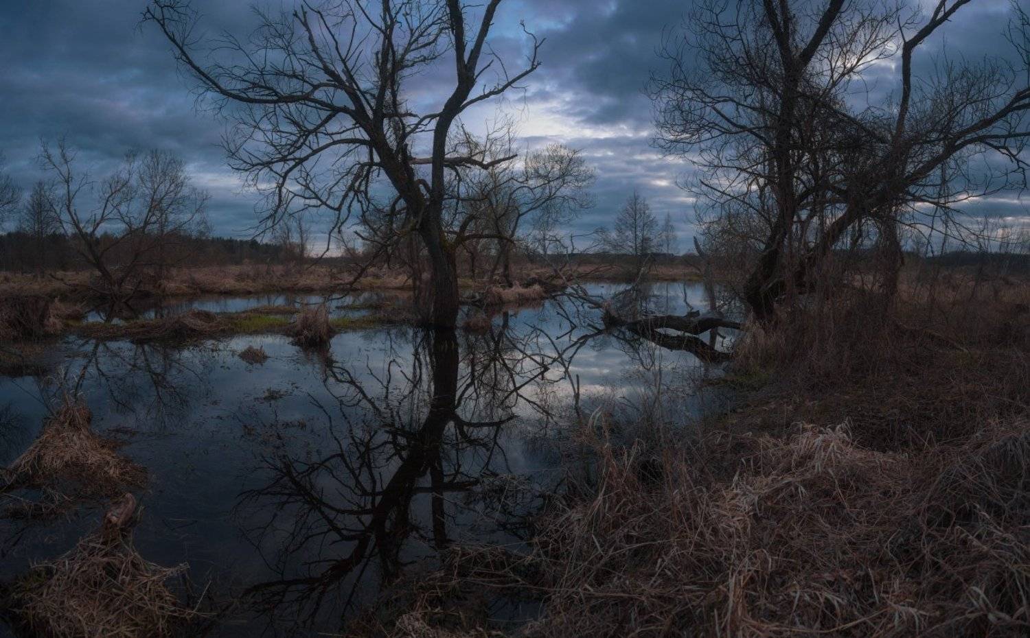 , Михаил Кушнер