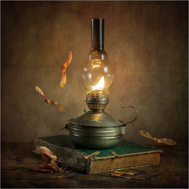 Мотыльки фото превью