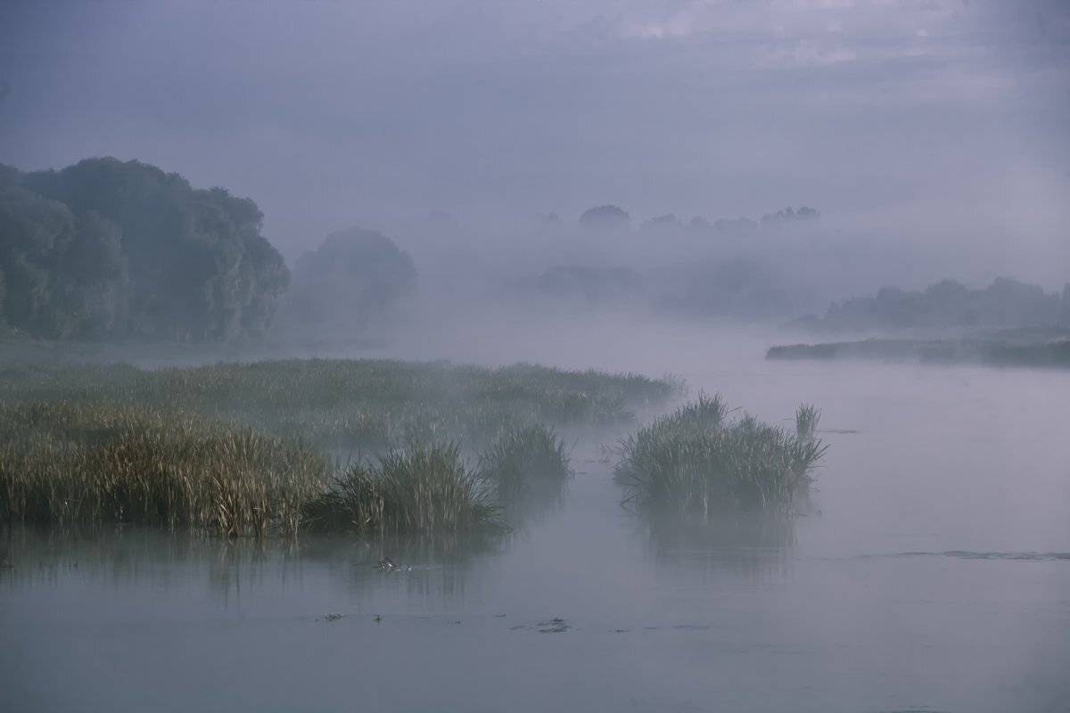 , Валерий Кондратов