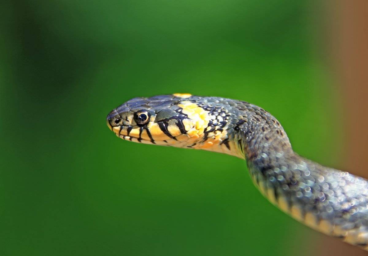 , Валерий Кондратов