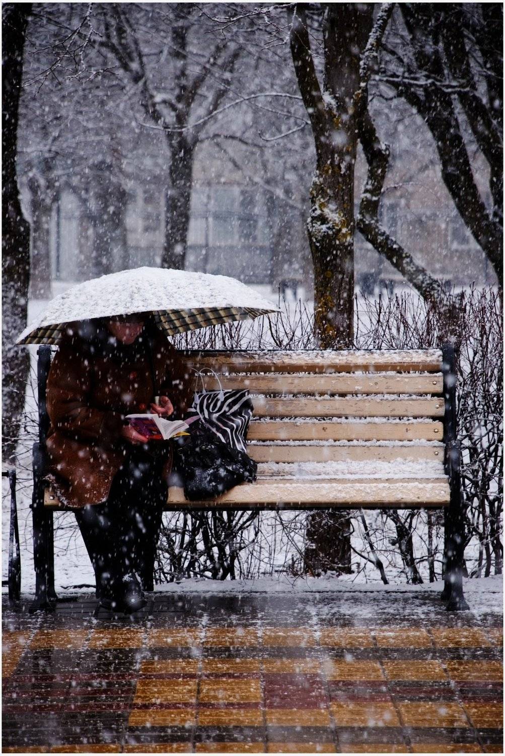 , Сергей Кобылько