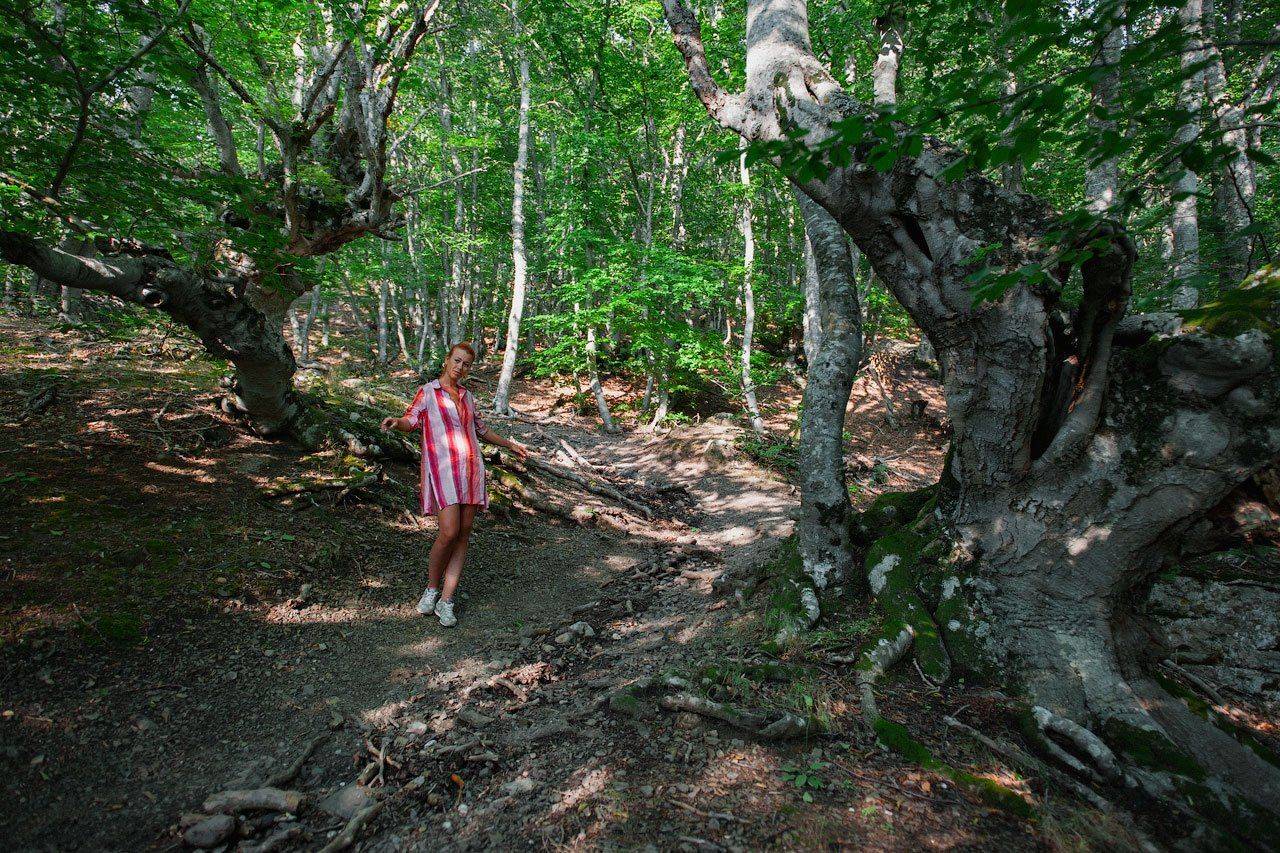 , Олег Логунов