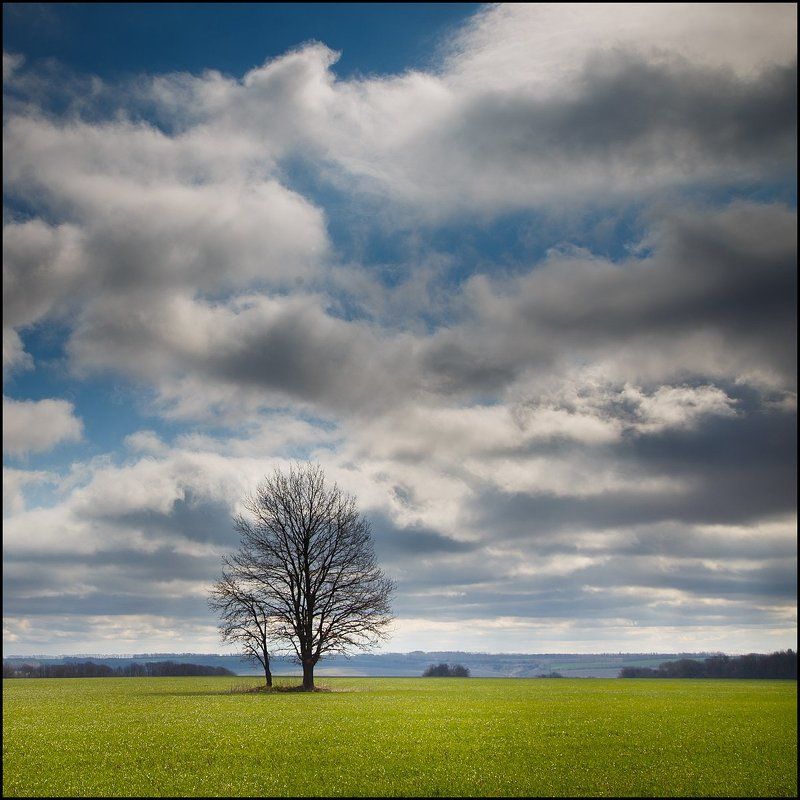 * фото превью