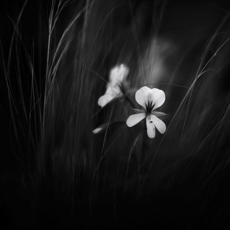 ... фото превью