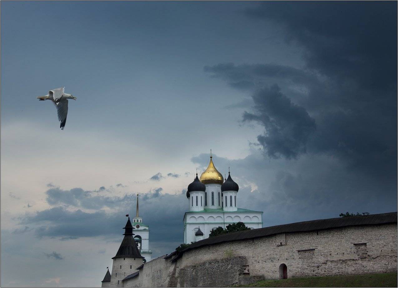 Псков кремль туча гроза чайка, Boris Bort