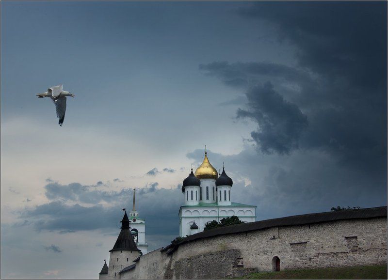 Псков кремль туча гроза чайка К грозе фото превью