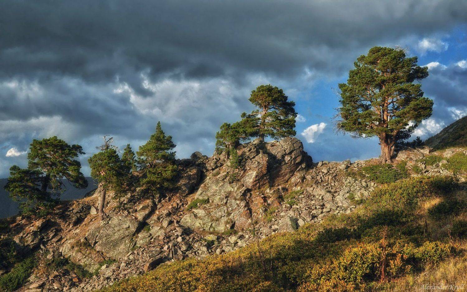 , Александр Круль