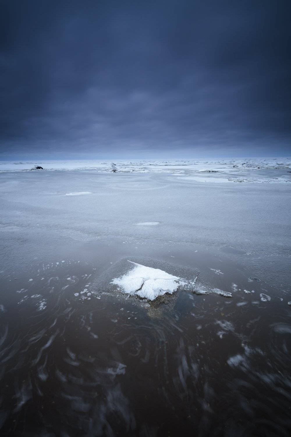 , Питенин Дмитрий