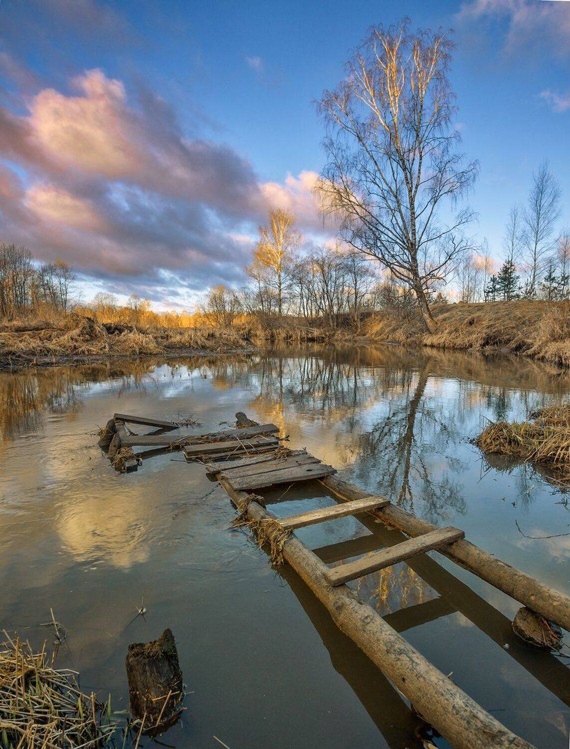 , Николай Андреев